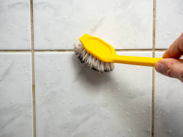 Best Mold Testing and Inspection Services in Guthrie Center, IA