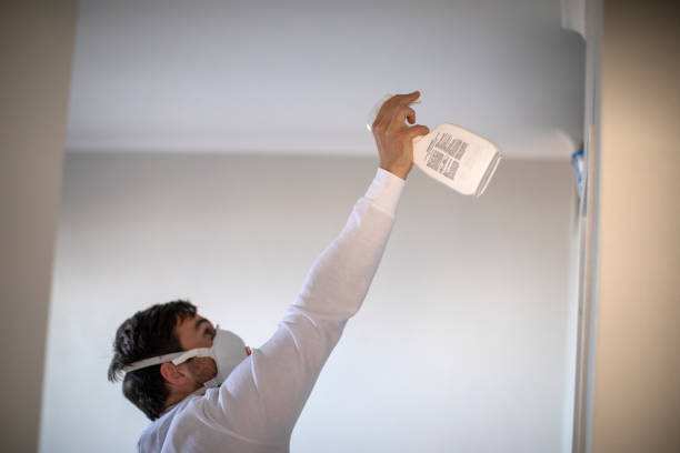 Best Residential Mold Remediation in Guthrie Center, IA